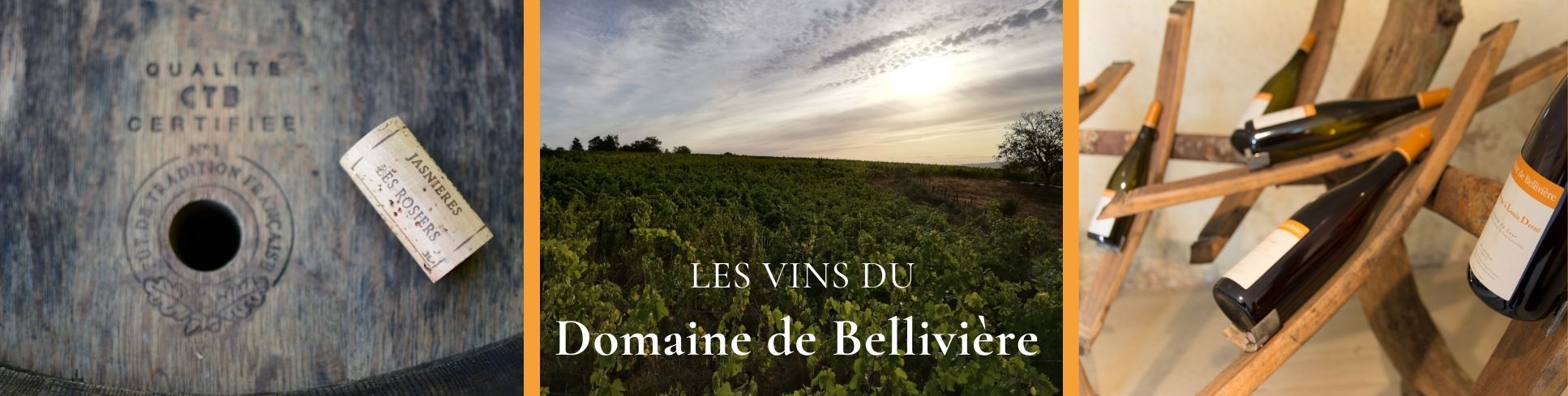 Les vins du Domaine de Bellivière 